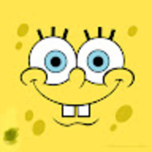 Meet your Posher, Bennett